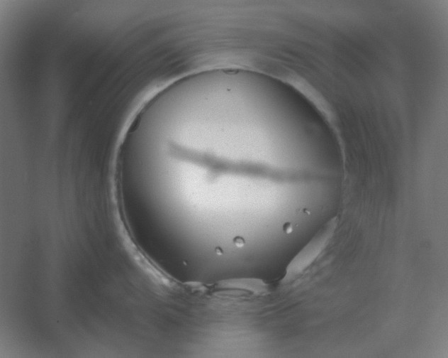 X0000054421104200508121745