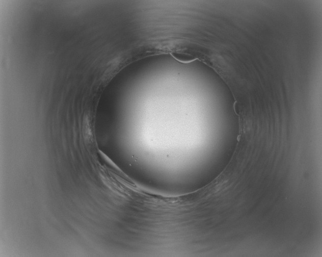 X0000054421106200508121744