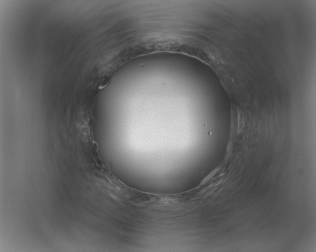 X0000054421109200508121744