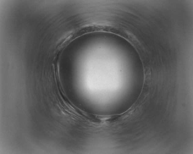 X0000054421110200508121744