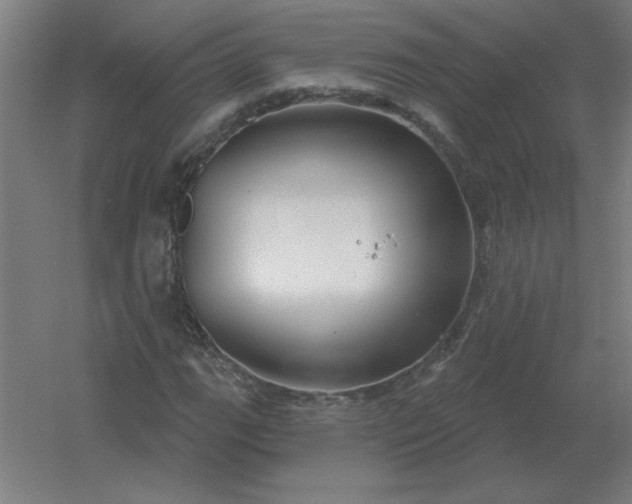 X0000054421111200508121744