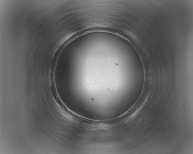 X0000054421113200508121744