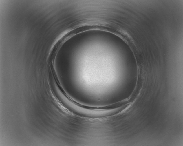 X0000054421114200508121744