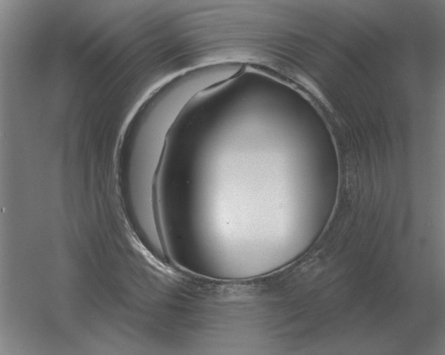 X0000054421116200508121744