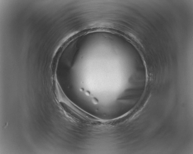 X0000054421117200508121744