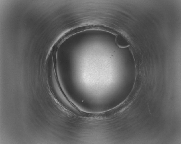 X0000054421118200508121744