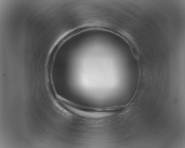 X0000054421120200508121744