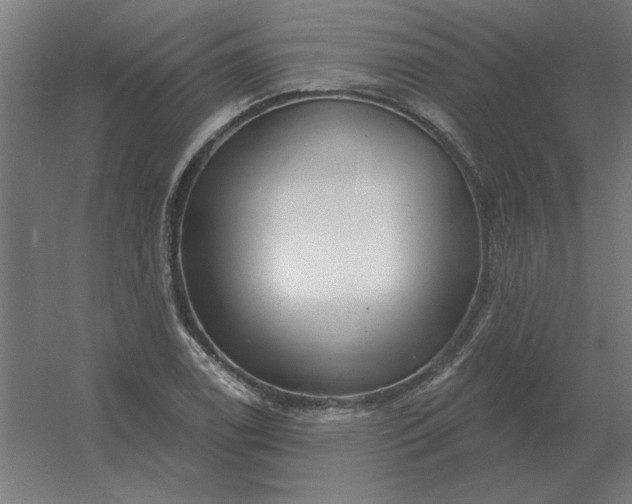 X0000054421122200508121744