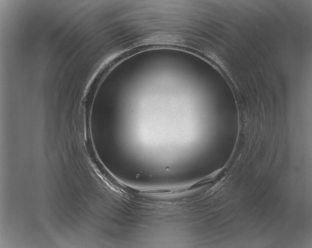 X0000054421123200508121744