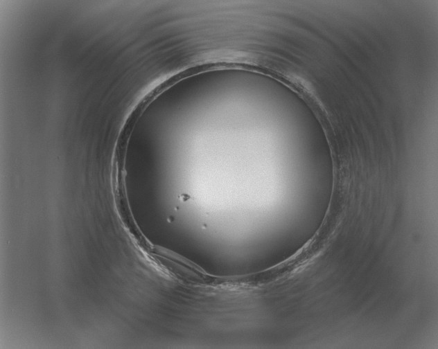 X0000054421125200508121744