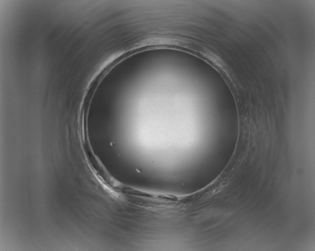 X0000054421127200508121744