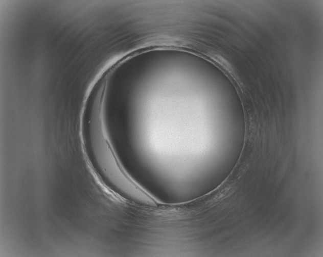 X0000054421128200508121744