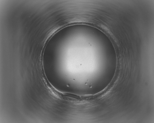 X0000054421129200508121744