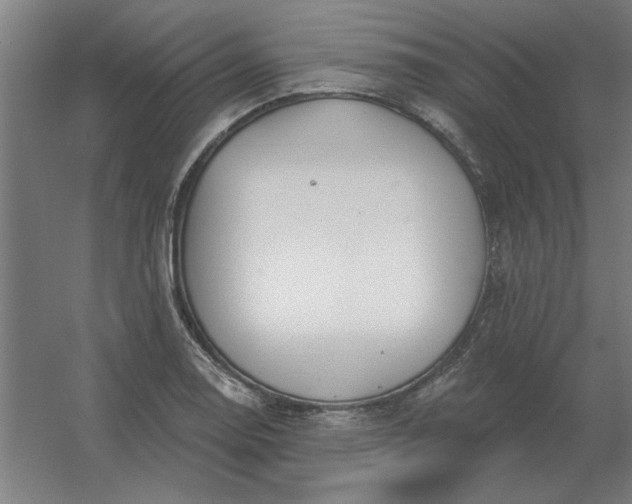 X0000054421130200508121744