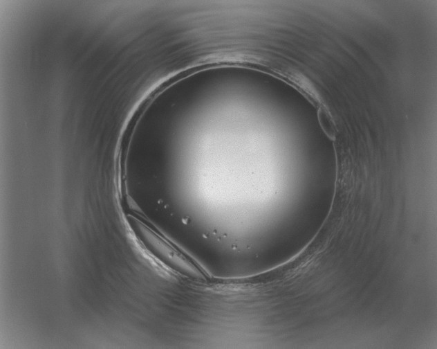 X0000054421132200508121744