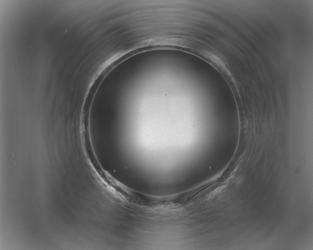 X0000054421133200508121744