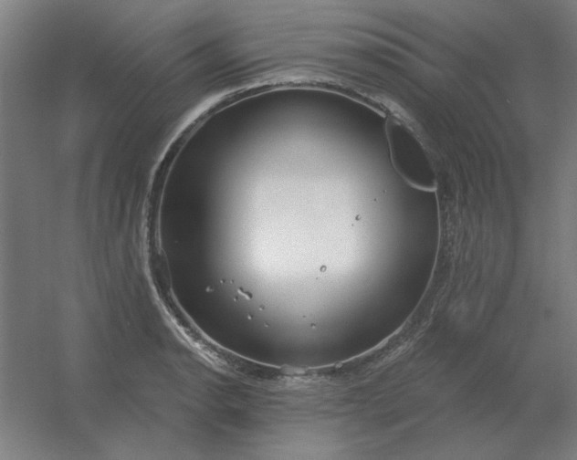 X0000054421134200508121744