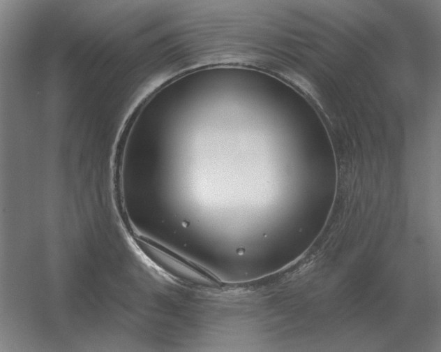 X0000054421135200508121744