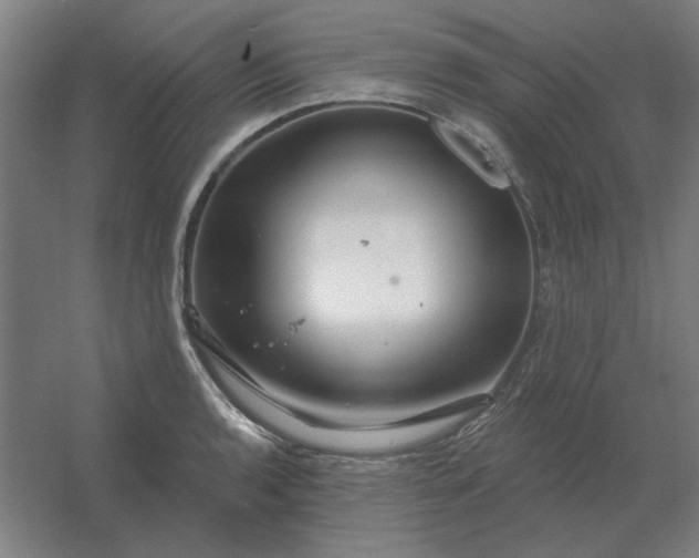 X0000054421136200508121744