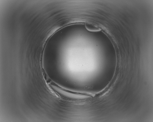 X0000054421137200508121744