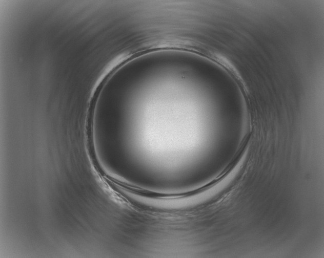 X0000054421138200508121744