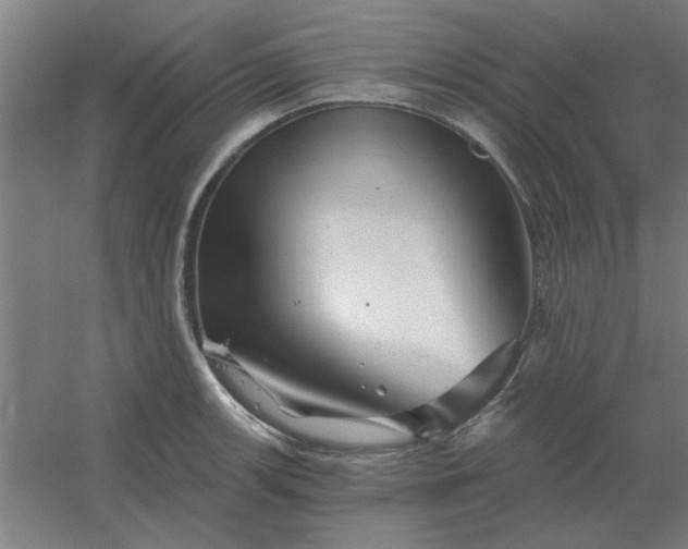 X0000054421139200508121744