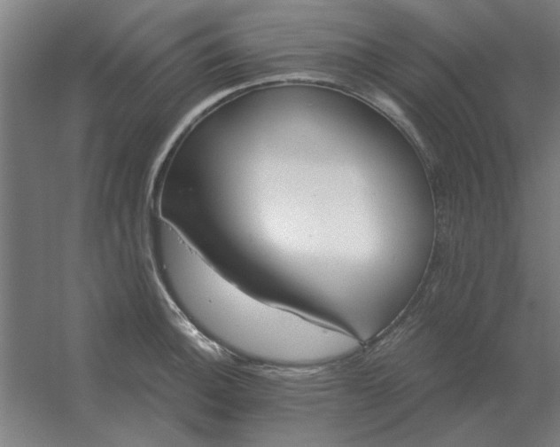 X0000054421140200508121744