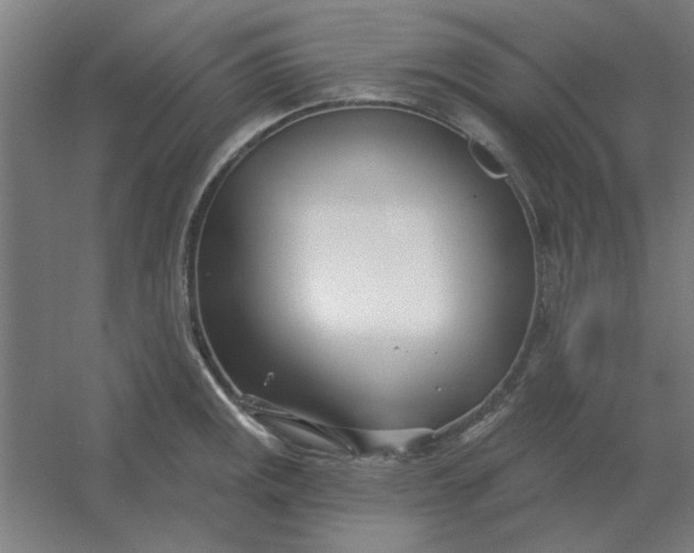 X0000054421141200508121744