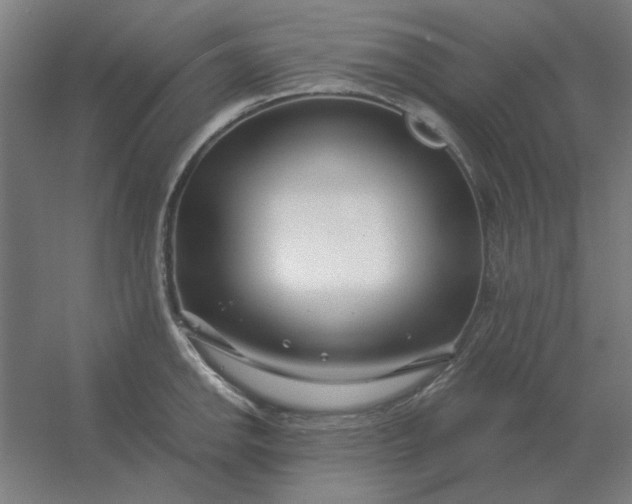 X0000054421142200508121745