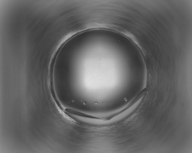 X0000054421143200508121745