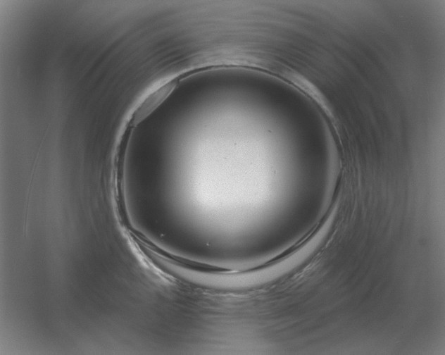 X0000054421144200508121745