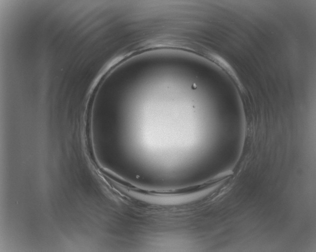 X0000054421146200508121745