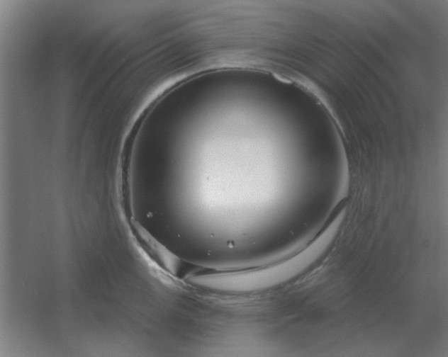 X0000054421147200508121745