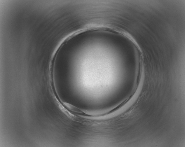 X0000054421148200508121745