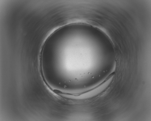 X0000054421151200508121745