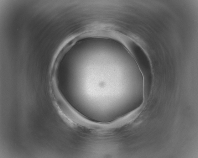 X0000054421152200508121745