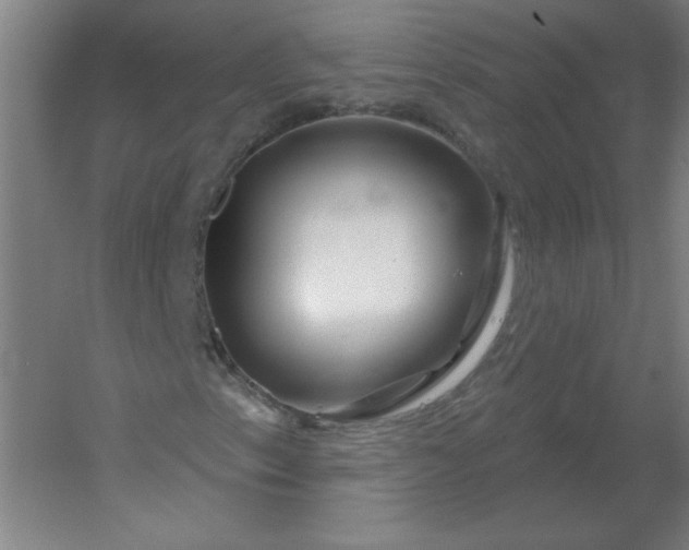 X0000054421153200508121744