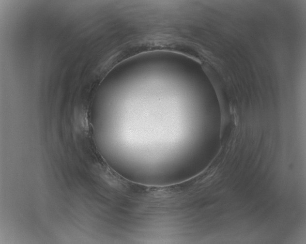 X0000054421155200508121744