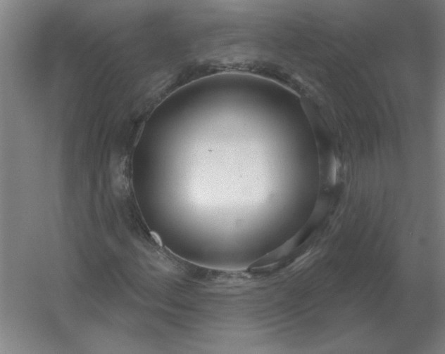 X0000054421156200508121744