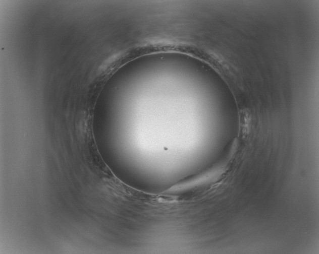 X0000054421157200508121744