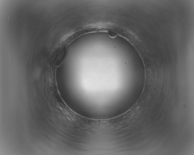 X0000054421158200508121744