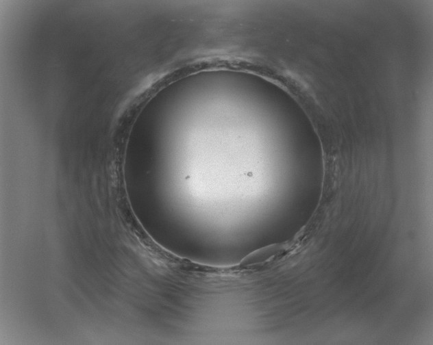 X0000054421159200508121744