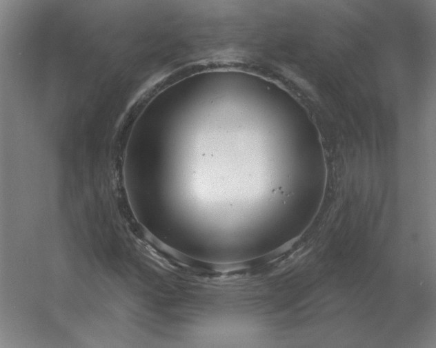 X0000054421160200508121744