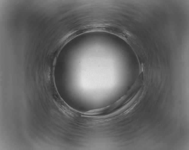 X0000054421161200508121744