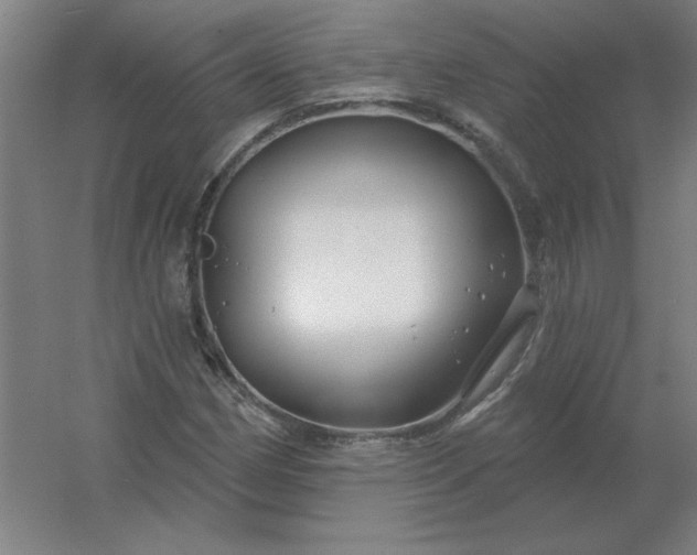 X0000054421162200508121744