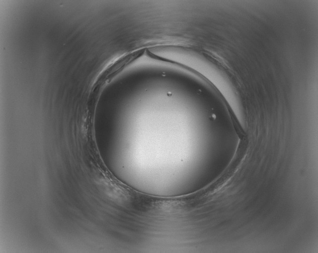 X0000054421163200508121744