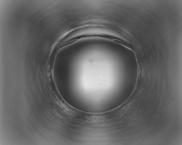 X0000054421164200508121744