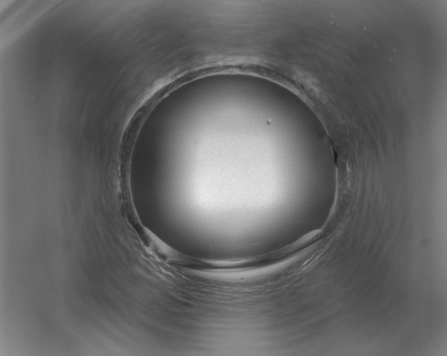 X0000054421165200508121744