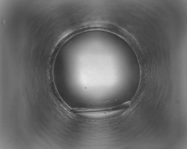 X0000054421166200508121744