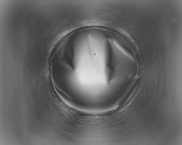 X0000054421167200508121744